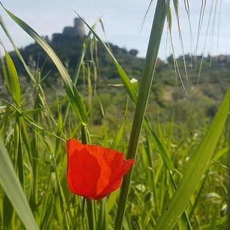 La Casina Di Nonna Giulia Apartment Castiglione d'Orcia Luaran gambar
