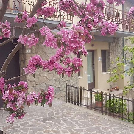 La Casina Di Nonna Giulia Apartment Castiglione d'Orcia Luaran gambar