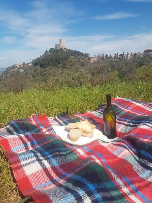 La Casina Di Nonna Giulia Apartment Castiglione d'Orcia Luaran gambar