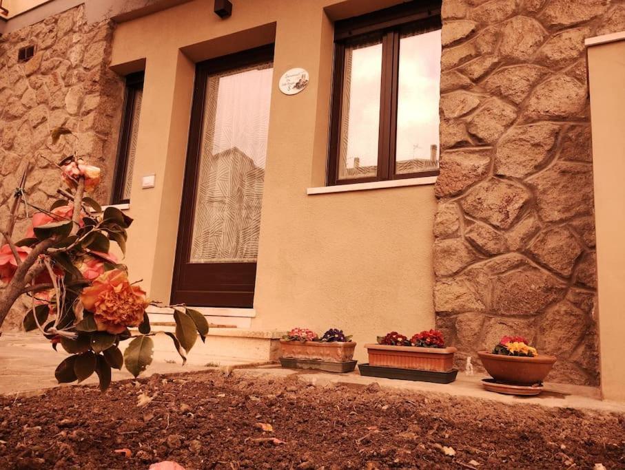 La Casina Di Nonna Giulia Apartment Castiglione d'Orcia Luaran gambar