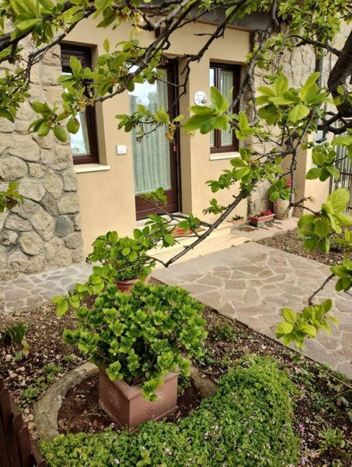 La Casina Di Nonna Giulia Apartment Castiglione d'Orcia Luaran gambar