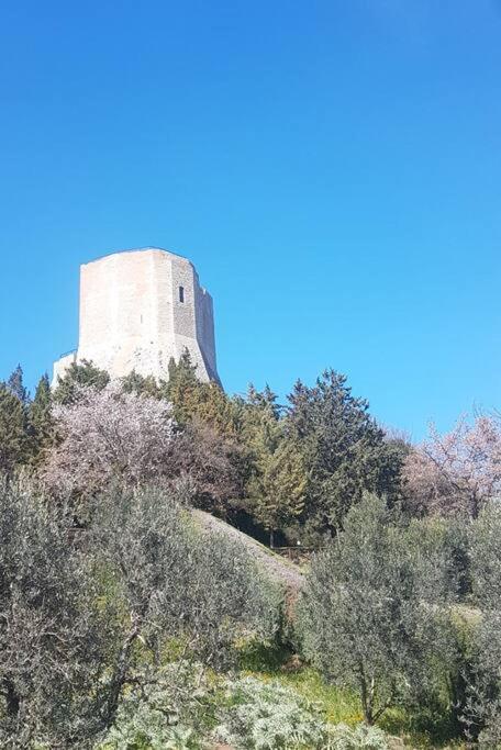 La Casina Di Nonna Giulia Apartment Castiglione d'Orcia Luaran gambar