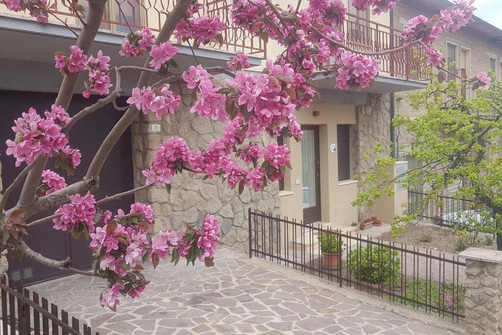 La Casina Di Nonna Giulia Apartment Castiglione d'Orcia Luaran gambar